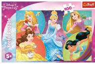 Puzzle Disneyjeva princesa: Spoznajte sladke princese