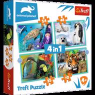 Puzzle 4v1 Dyrenes mystiske verden