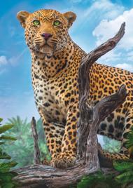 Puzzle Pažeista dėžė Laukinis leopardas