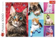 Puzzle Boldog macskák kollázsa  image 2