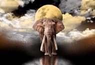Puzzle Elephant Dreams - wooden image 2