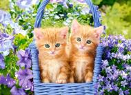 Puzzle Ginger Kittens