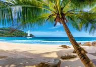 Puzzle Vacances aux Seychelles