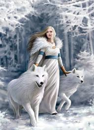 Puzzle Anne Stokes: Winterwachters