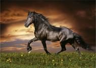 Puzzle Kasaški konj