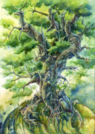 Puzzle Copacul Vieții
