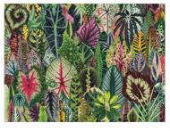 Puzzle Džungle pokojových rostlin