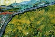 Puzzle Vincent van Gogh: Campo di grano recintato con sole nascente