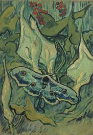 Puzzle Vincet van Gogh: polilla pavo real gigante, 1889