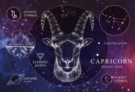 Puzzle Zodiaque - Capricorne 250