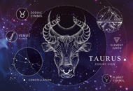 Puzzle Zodiac - Taurus 250