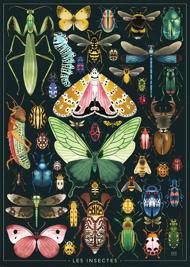 Puzzle Insectos - Rebecca Rome0