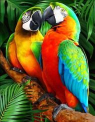 Puzzle Obraz diamentowy: Kolorowe papugi 30x40cm