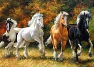 Puzzle Diamant schilderij: Galopperend paard 30x40cm