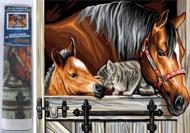 Puzzle Diamond Painting Un cheval avec un chat 30x40cm