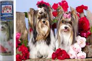 Puzzle Gyémántfestmény - Kutyák a rózsák között 30x40cm