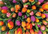 Puzzle tulipanes 1000
