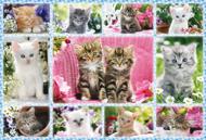 Puzzle Kittens 100