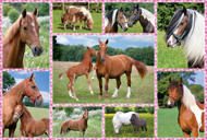Puzzle Smukke heste 150