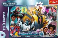 Puzzle Transformers 300