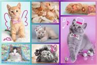 Puzzle Aranyos macskák 60 dielikov image 2