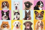 Puzzle Cute dogs 60 dielikov image 2