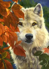 Puzzle Vlk v lese