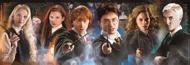Puzzle Kompaktes Harry-Potter-Panorama