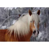 Puzzle Horses Magic : Haflinger I Difficult