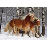 Puzzle Horses Magic : Halflinger III  Difficult