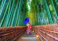 Puzzle Ázijská žena v bambusovom lese