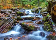 Puzzle Lesný potok na jeseň
