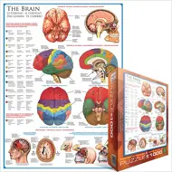 Puzzle Mozog