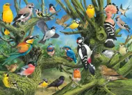 Puzzle Francis: záhradné vtáky