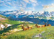 Puzzle Mountain Elks