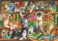 Puzzle Puss In Books