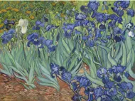 Puzzle Vincent van Gogh: Iris