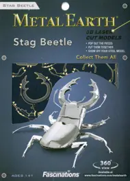 Puzzle Roháč obyčajný 3D image 3
