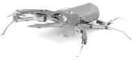 Puzzle Roháč obyčajný 3D image 4