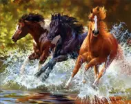 Puzzle Diamentowy obraz: Konie w rzece 30x40cm