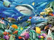 Puzzle Shark Reef