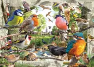 Puzzle Naši pernati prijatelji