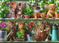 Puzzle Cats on the shelf