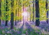 Puzzle Assaf Frank: Zarte Glockenblumen im Wald
