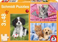 Puzzle 3x48 Meine liebsten Haustierbabys
