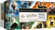 Puzzle Harry Potter: The Houses of Hogwarts