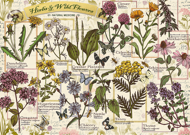 Puzzle Herbár: Liečivé byliny