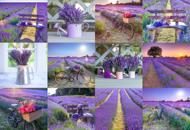 Puzzle  Lavendel Frankreich aus Holz
