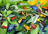 Puzzle Fun Frogs