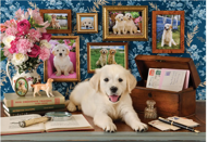 Puzzle Labrador